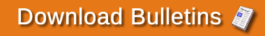 bulletin